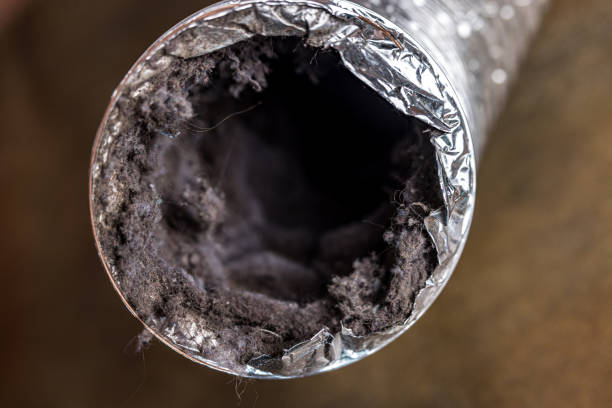 Best Affordable Duct Cleaning Services  in Croydon, PA